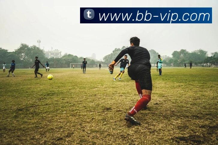 辅助工具 辅助工具